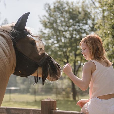 #Glamping@De Verloren Sinjoor Bladel Eksteriør bilde