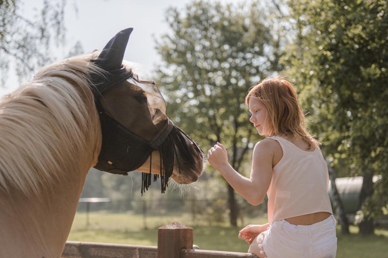 #Glamping@De Verloren Sinjoor Bladel Eksteriør bilde
